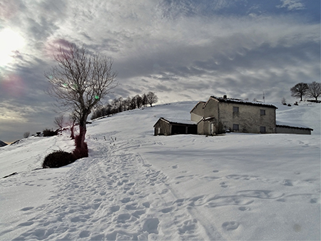 Sulle nevi dei Piani d’Artavaggio (1650 m) da Avolasio (1050 m) il 22 dicembre 2020  - FOTOGALLERY